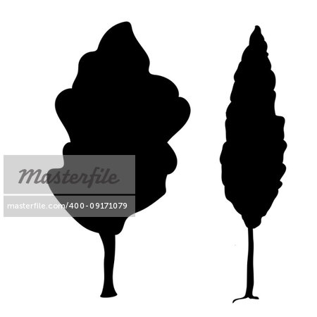 Silhouette Poplar icon tree flora. Vector illustration