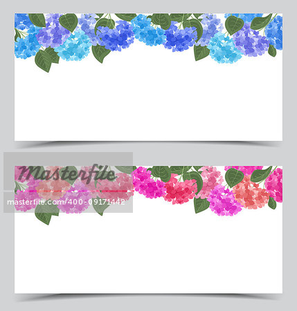 Vector illustration of hydrangea flower. Background with floral decorations. Banner template