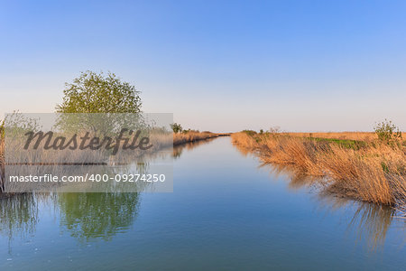 landscape in the Danube Delta, Romania, Europe