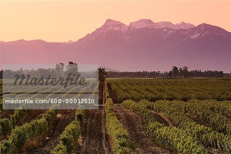 Eastern Fraser Valley British Columbia, Canada