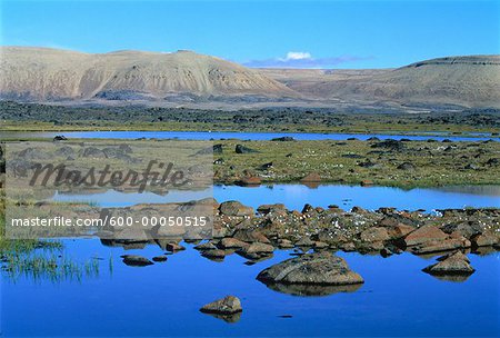 Arctic Cottongrass and Ponds Truelove Lowland, Devon Island Nunavut, Canada