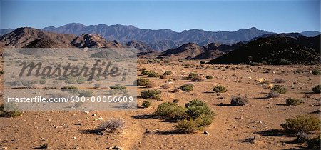 Overview of Arid Landscape, Northern Cape, South Africa