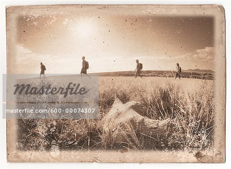 Four People Hiking through Field, Alberta, Canada