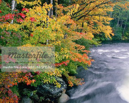 Oxtongue Rapids Park, Muskoka, Ontario, Canada