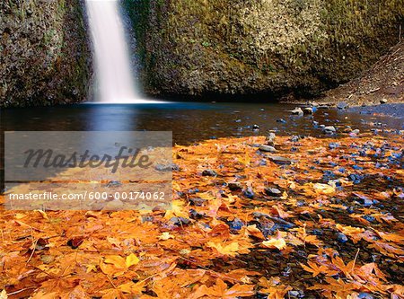 Autumn, Base of Multnomah Falls, Columbia River Gorge, Oregon, USA