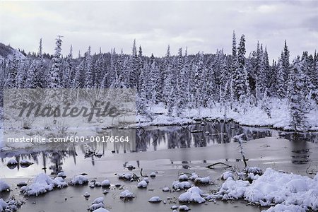 Christmas Creek, Yukon, Canada