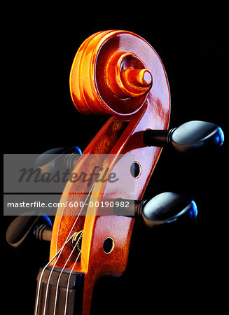 Close-Up of Violin