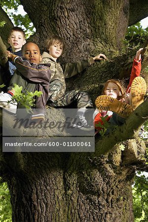 Children Sitting in Tree