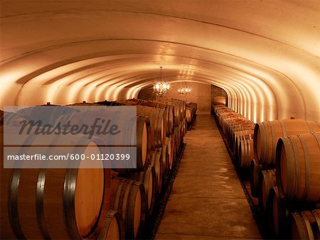 Wine Cellar, Vineland, Ontario, Canada