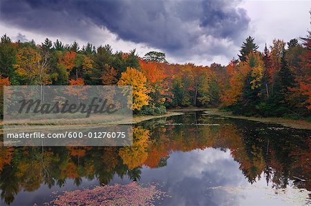 Lake in Forest in Autumn, Ontario, Canada