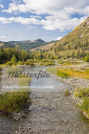 Creek through Mountains, Livingston Range, Rocky Mountains, Alberta, Canada