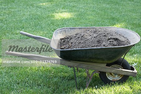 Wheelbarrow Filled with Dirt Stock Photo Masterfile Premium