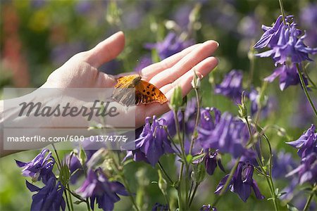 Woman's Hand Holding Butterfly