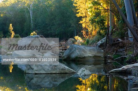 Carnarvon Creek, Carnarvon Gorge, Carnarvon National Park, Queensland, Australia