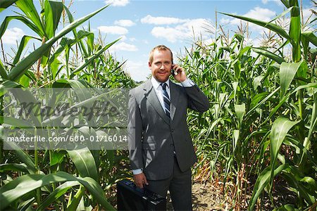 Businessman in Cornfield