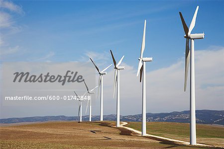 Wind Turbines in Field