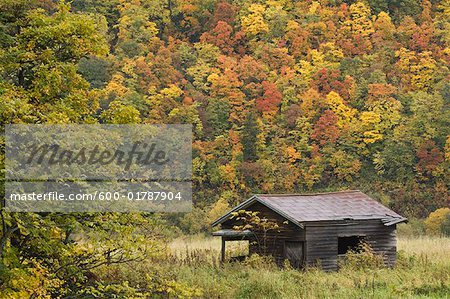 Log Hut, Hokkaido, Japan