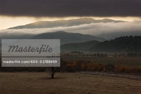 Overview of Fields and Hills, Santa Ynez Valley, Southern California, USA