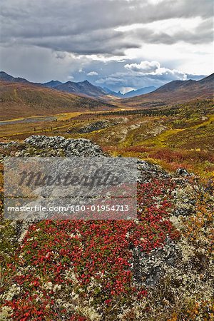 Alpine Tundra in Autumn, Tombstone Territorial Park, Yukon, Canada