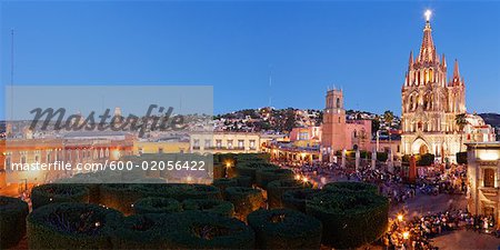 Overview of Pruned Shrubbery, The Zocalo, San Miguel de Allende, Guanjuato, Mexico