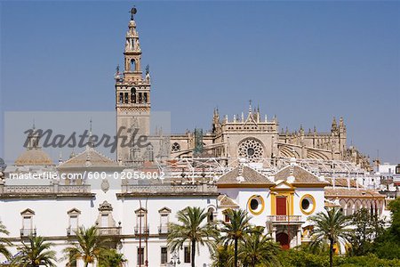 Seville Cathedral and Plaza de Toros de la Maestranza, Seville, Andalucia, Spain