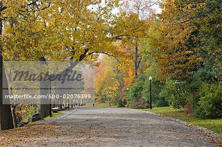 Mont Royal, Montreal, Quebec, Canada