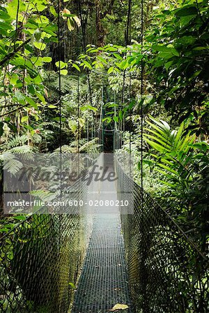 Footbridge in Rainforest, La Paz Waterfall Gardens, Cordillera Central, Costa Rica