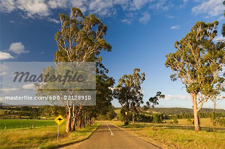 Rural Road, Glenaladale, Victoria, Australia