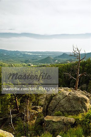 Cathedral Spires, Black Hills, Custer State Park, South Dakota, USA