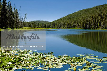 Lake, Yellowstone National Park, Wyoming, USA