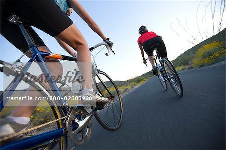 Saguaro National Park Cycling Jersey