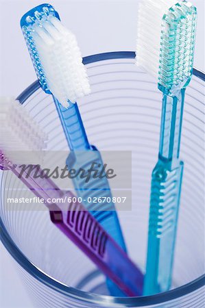 Three Toothbrushes in a Glass