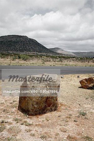 Highway, Dryden, Texas, USA