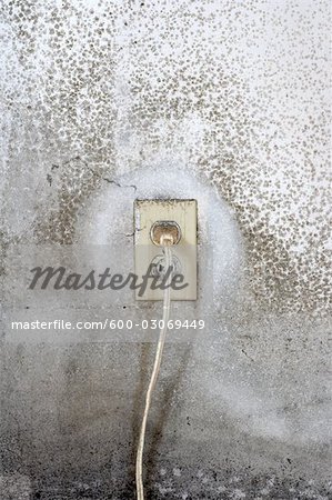 Electrical Outlet in Moldy Wall