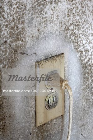 Electrical Outlet in Moldy Wall Electrical Outlet in Moldy Wall