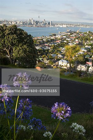 Auckland, North Island, New Zealand