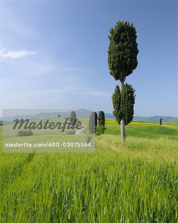 Pienza, Siena Province, Val d'Orcia, Tuscany, Italy