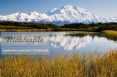 Mount McKinley, Denali National Park and Preserve, Alaska, USA