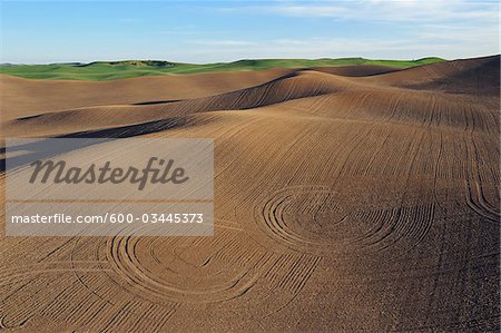 Plowed Fields, Palouse Region, Palouse, Whitman County, Washington State, USA