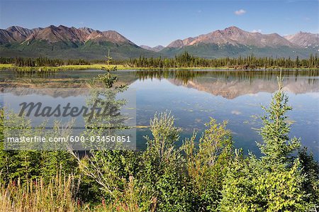 Mentasta Mountains at Mentasta Pass, Alaska, USA