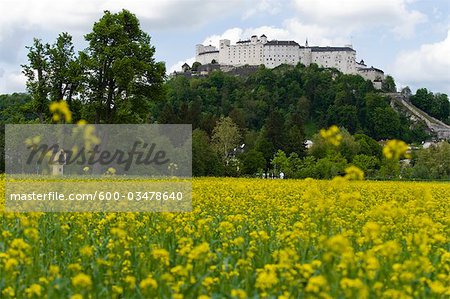 Hohensalzburg Castle and Rape Field, Salzburg, Austria