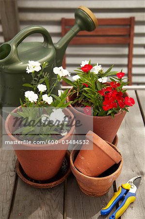 Potted Plants and Gardening Equipment on Roof Garden Table