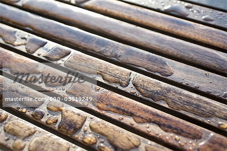 Water Collected on Wood