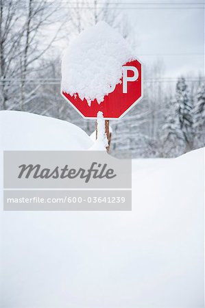 Stop Sign Covered in Snow, British Columbia, Canada