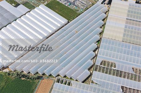 Aerial View of Greenhouse Rooftops, Cadiz province, Andalusia, Spain
