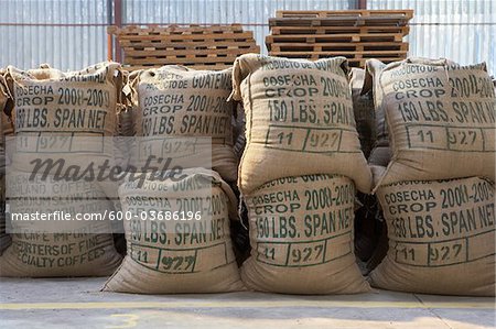 Coffee Packed in Burlap Sacks, Cofeco S.A. Dry Mill, Huehuetenango Department, Guatemala