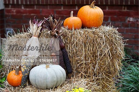 Decorative Straw Bale Royalty-Free Images, Stock Photos & Pictures