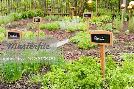 Herb Garden, Salzburg, Salzburger Land, Austria