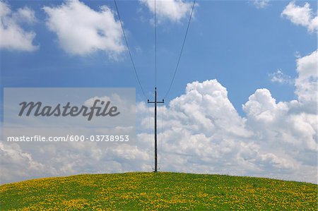 Utility Pole in Meadow, Sonntagberg, Mostviertel, Lower Austria, Austria