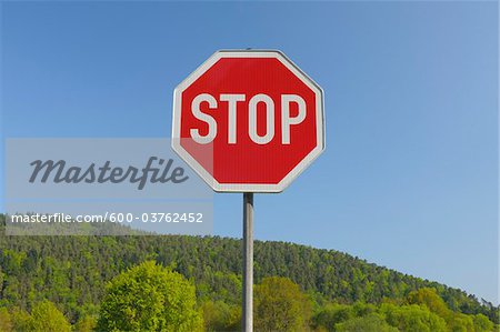 Stop Sign in front of Forest, Pfalzerwald, Rhineland-Palatinate, Germany